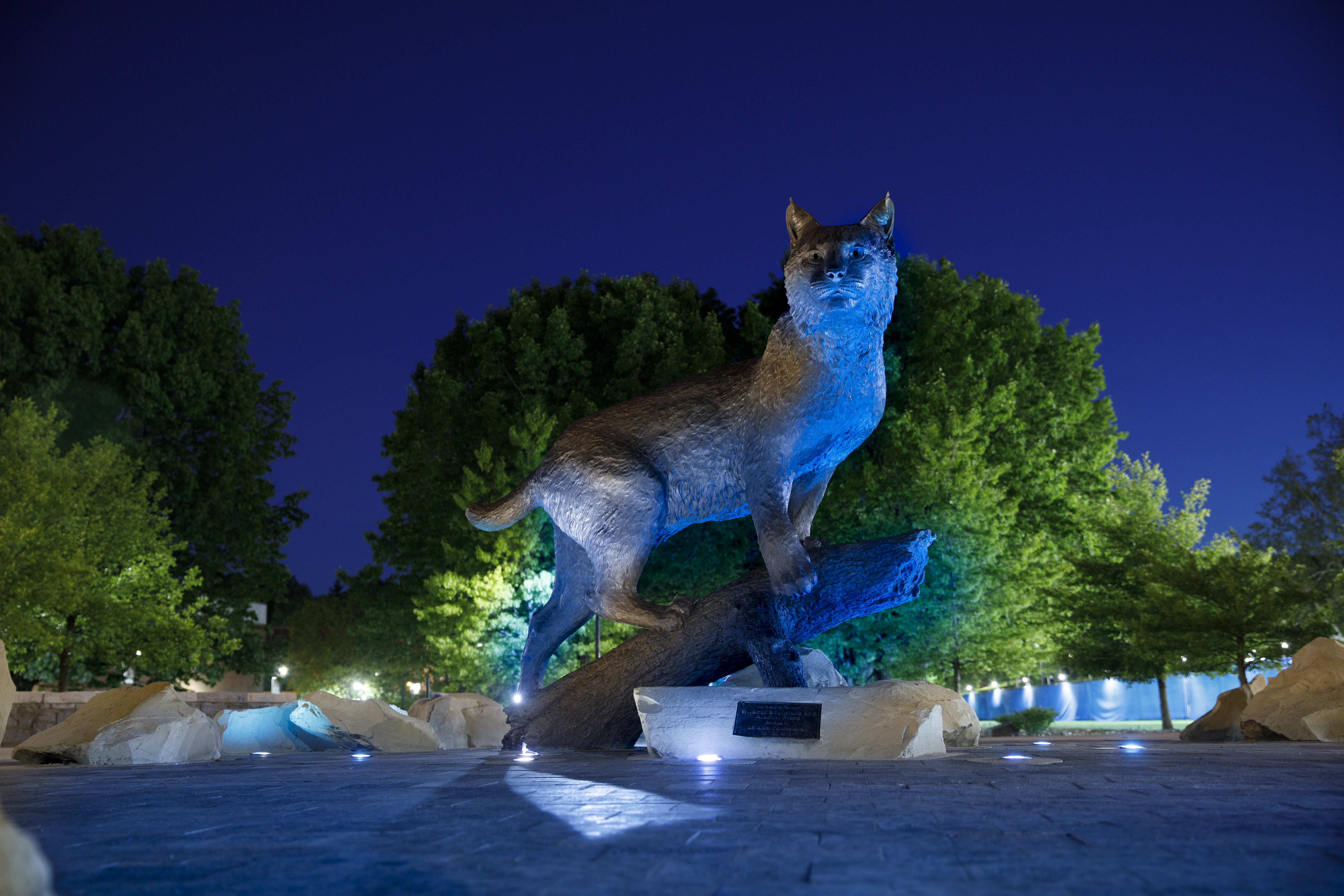 Bowman statue at night