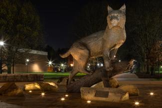 Bowman Statue at Night