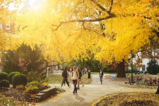 Students walking to class in fall