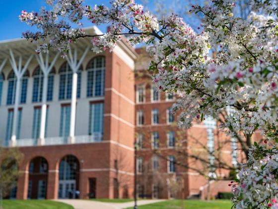 photo of young library behind spring foliage