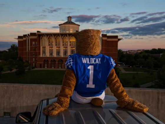 Wildcat at library